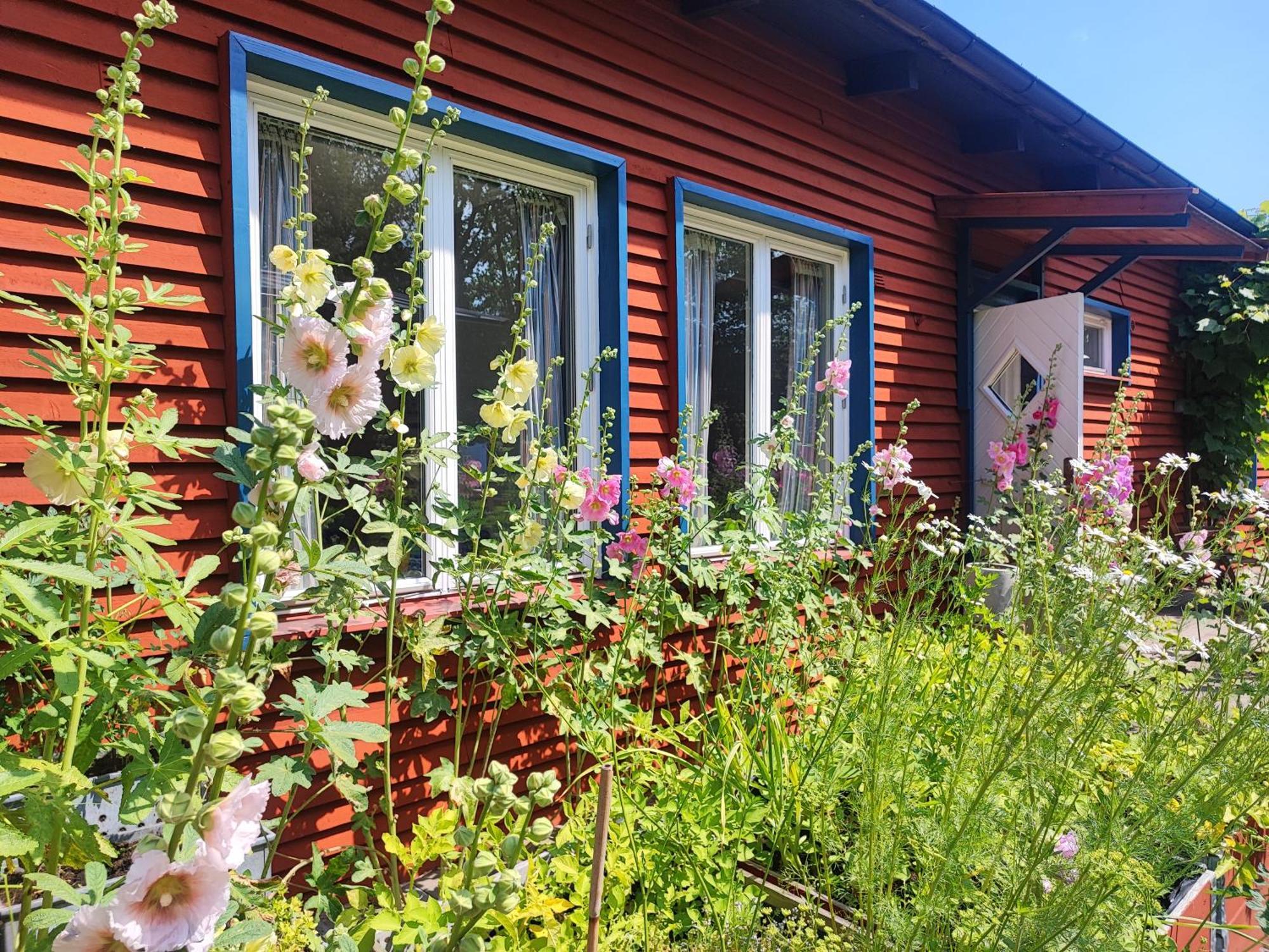 Stf Baskemoella Hostel Simrishamn Exterior foto